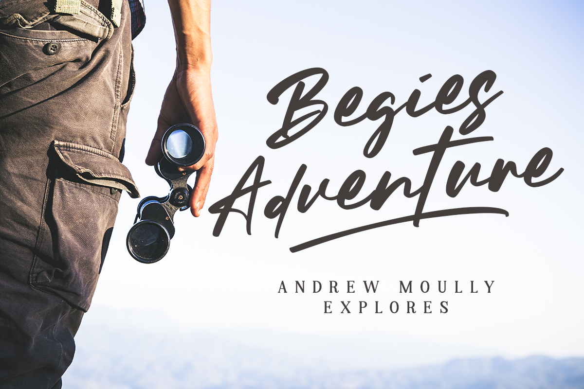 Mellodia Modern Handwriting Font - Image 5