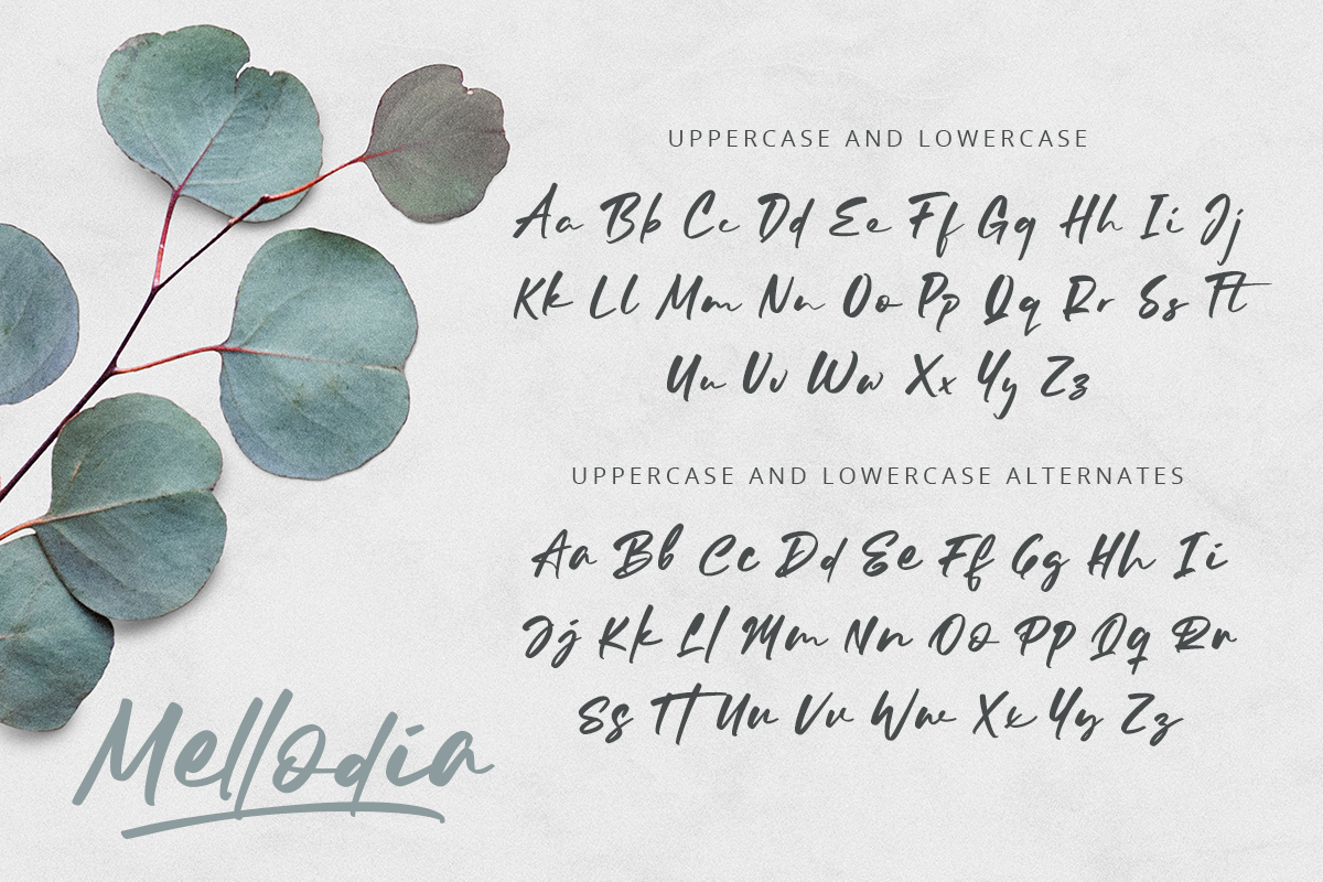 Mellodia Modern Handwriting Font - Image 9