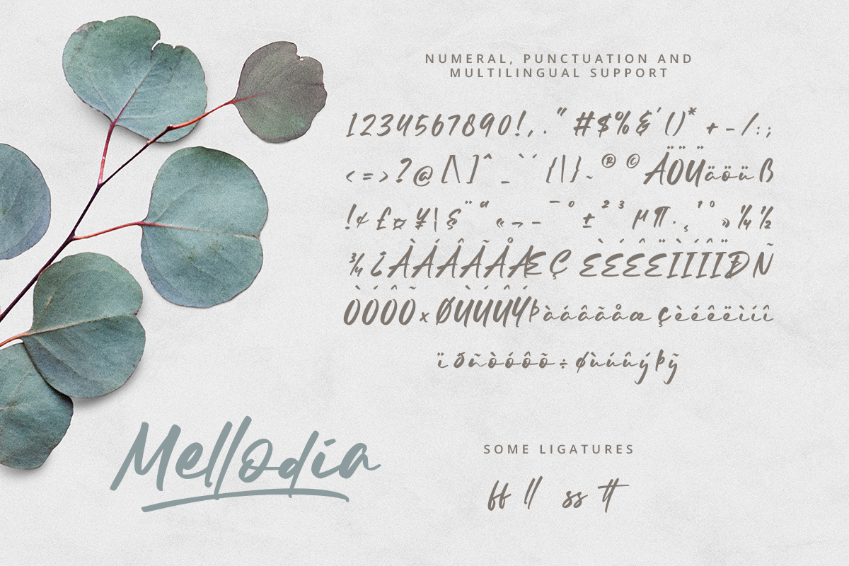 Mellodia Modern Handwriting Font - Image 10