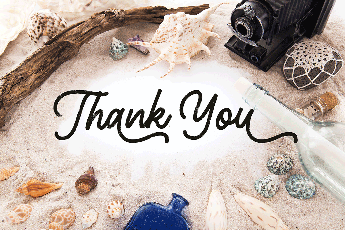 Shellbie Rough Monoline Script Font - Image 11