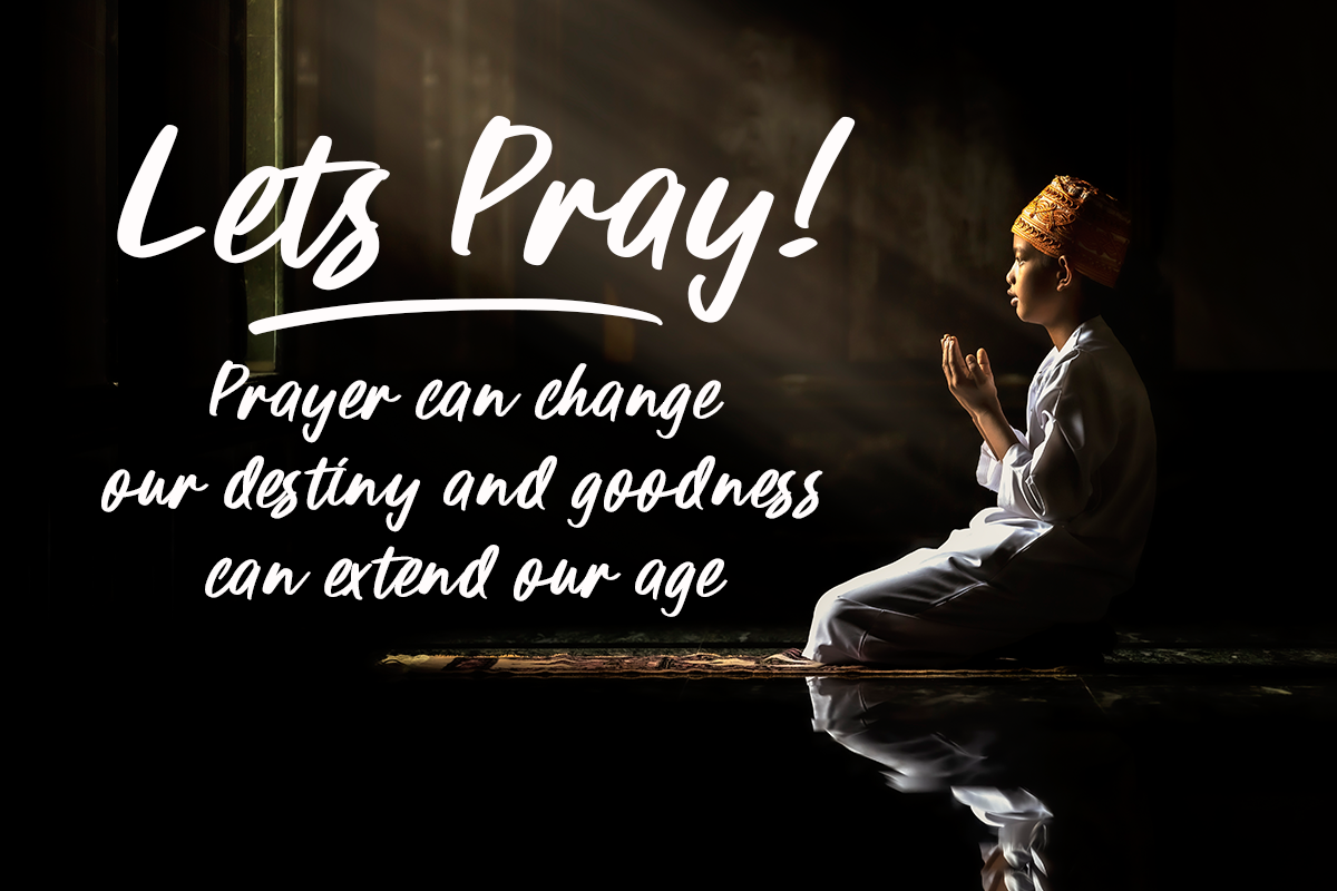 Shortime Modern Script Font - Image 8