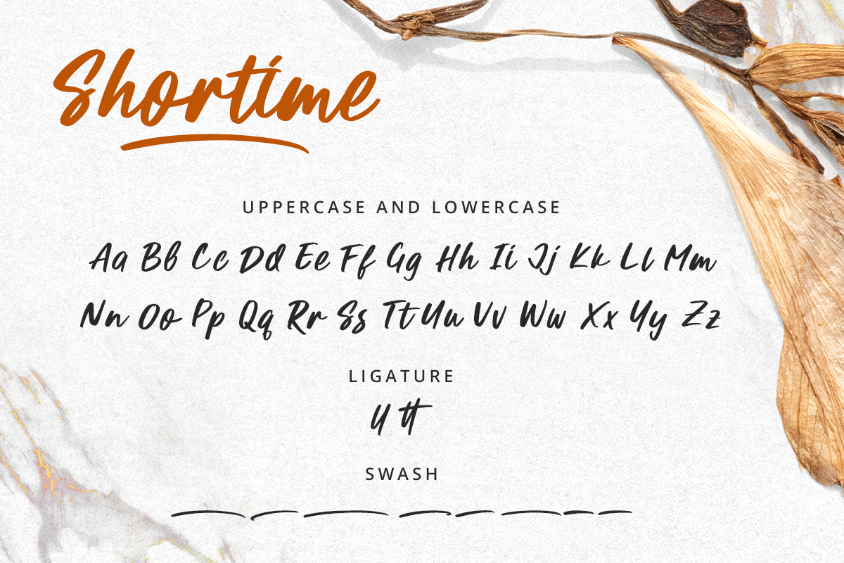 Shortime Modern Script Font - Image 9
