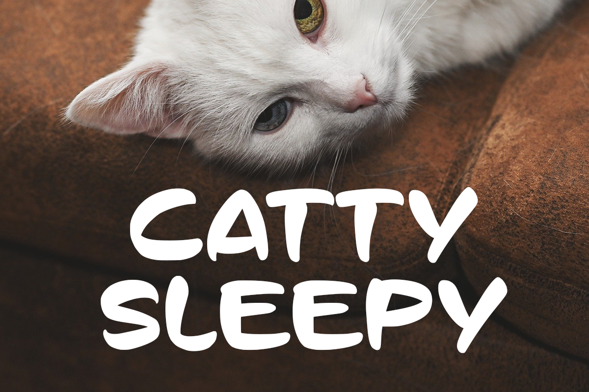 Tazman Cartoon Display Font - Image 5