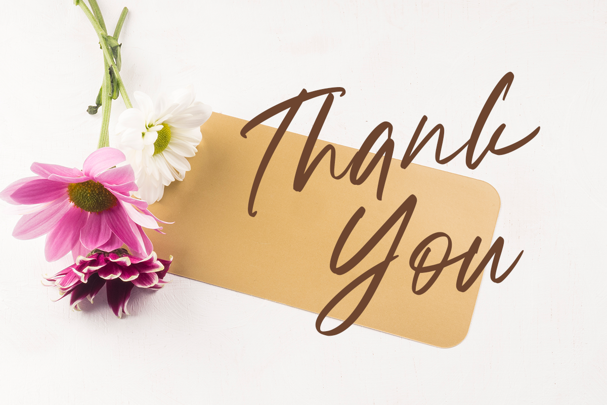 Bronskiy Modern Handwriting Font - Image 11