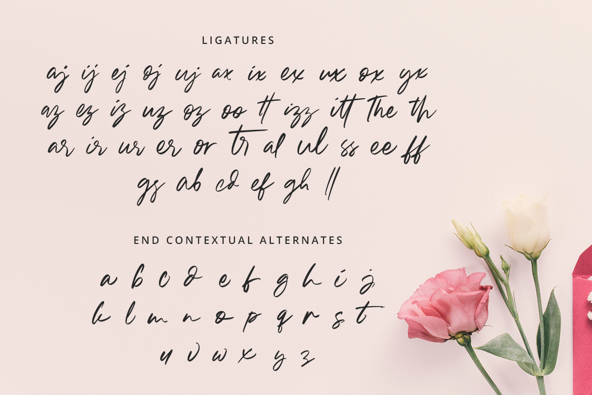 Bronskiy Modern Handwriting Font - Image 9