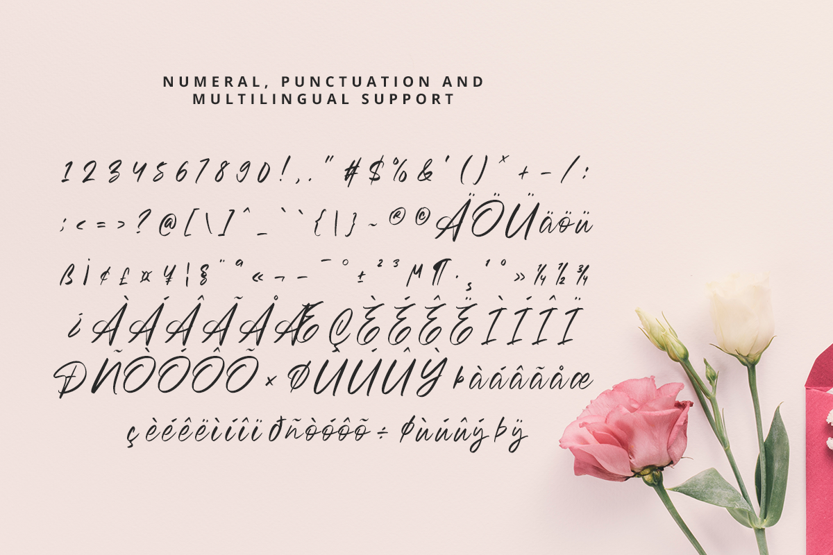 Bronskiy Modern Handwriting Font - Image 10