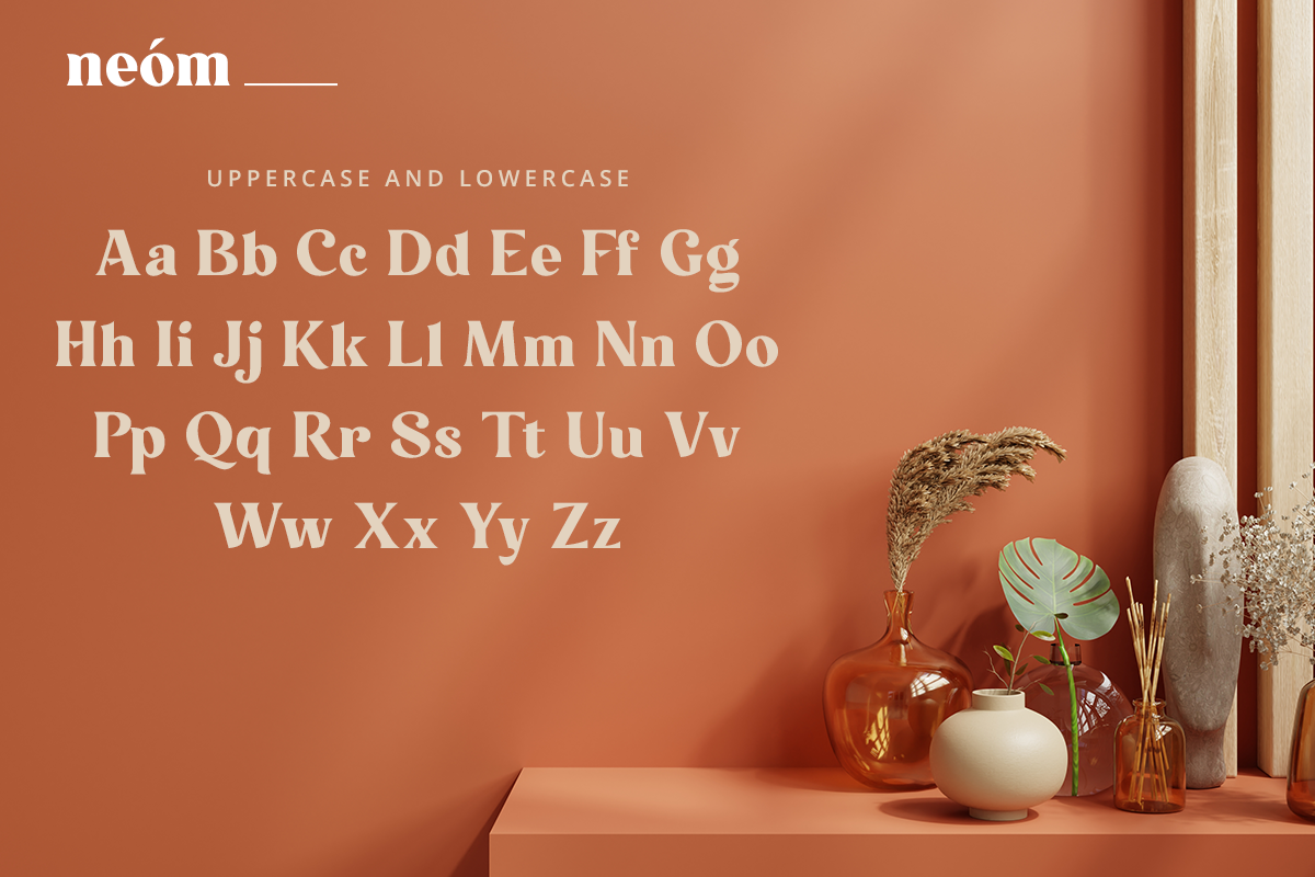 Neom Classy Display Font - Image 11