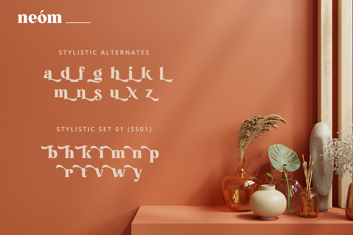 Neom Classy Display Font - Image 12