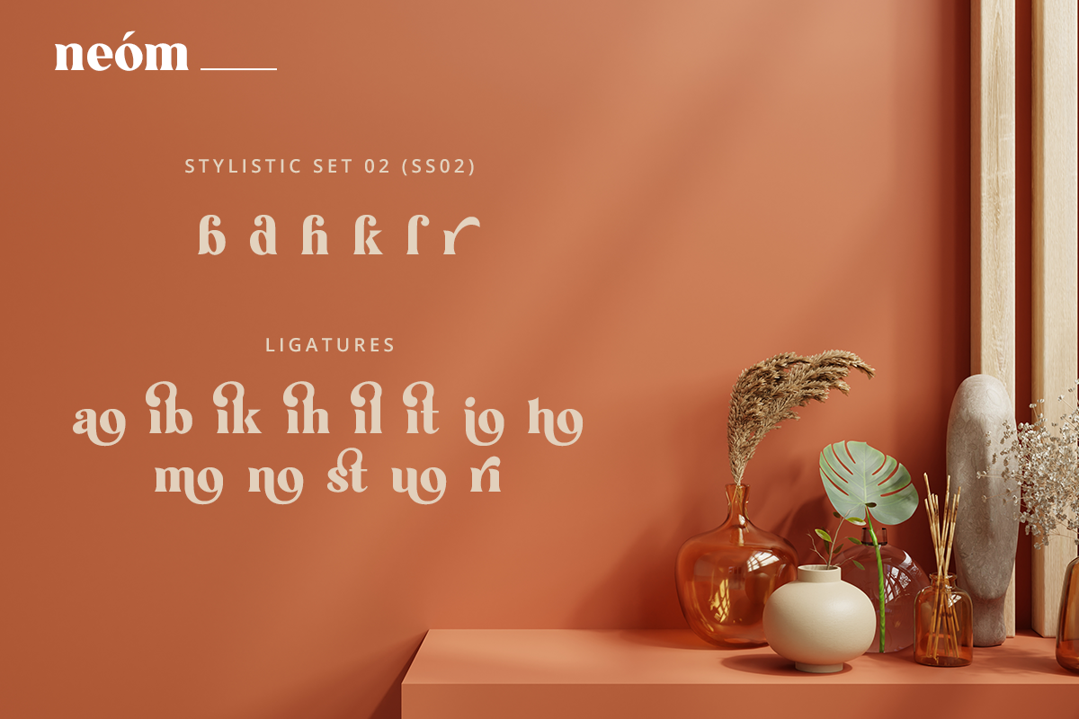 Neom Classy Display Font - Image 13