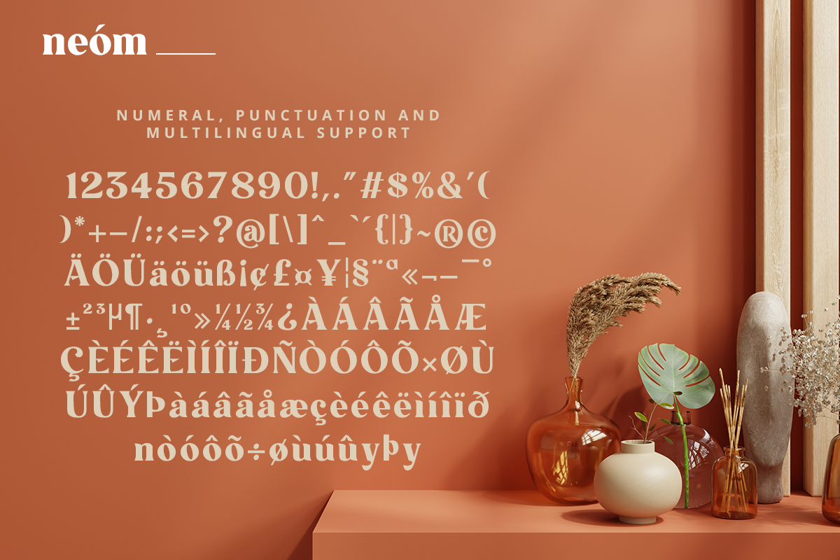 Neom Classy Display Font - Image 14