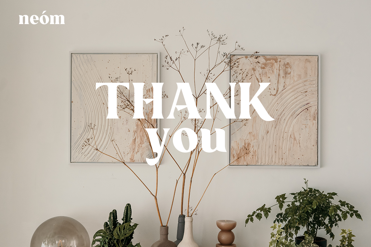 Neom Classy Display Font - Image 15