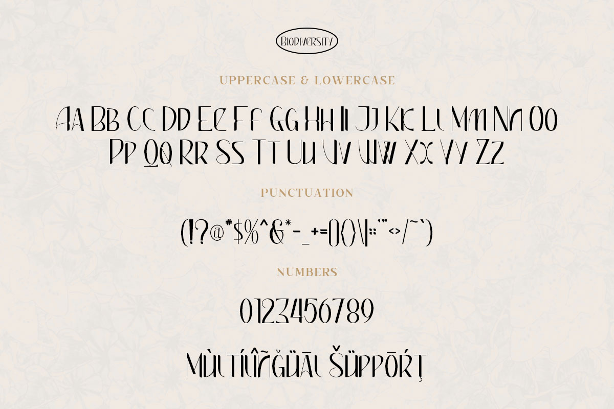 Biodiversity Sans Serif Font - Image 9