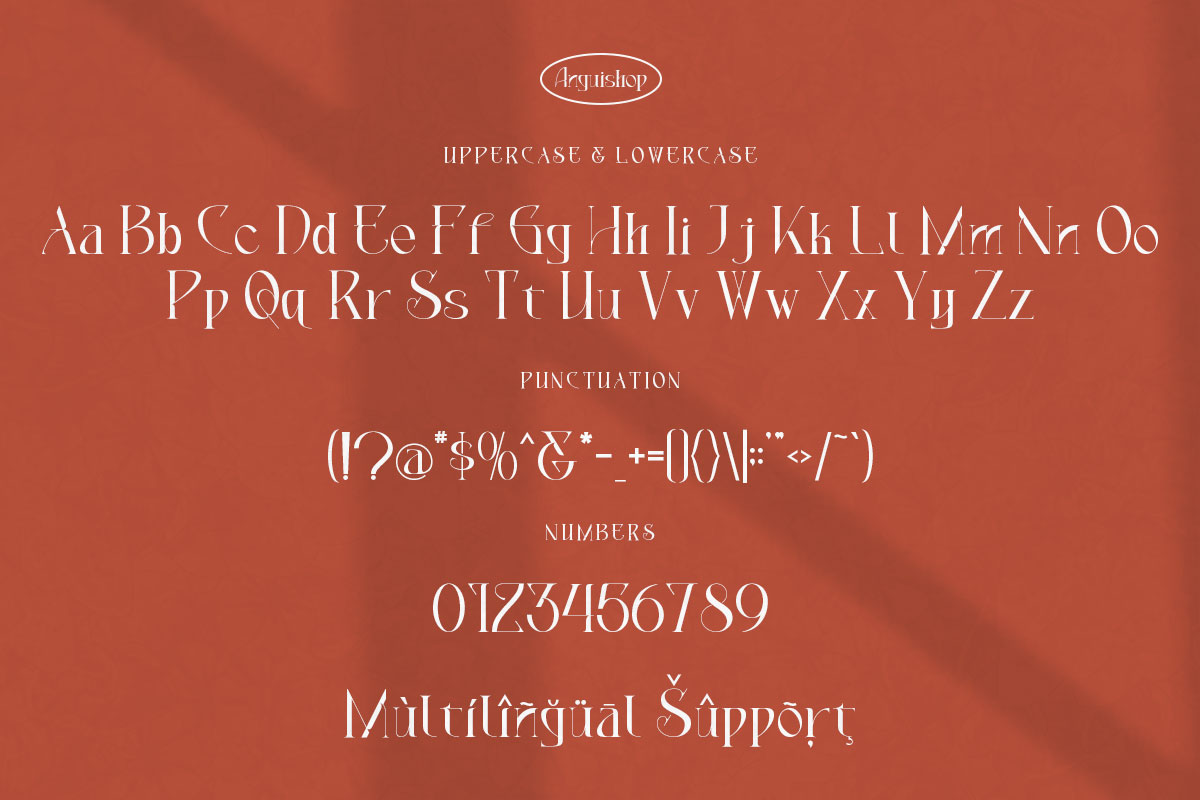 Anguishop Classy Serif Font - Image 9