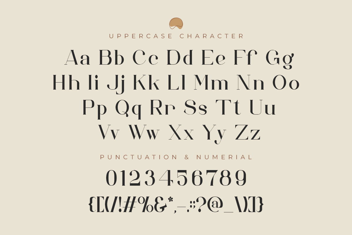 Chelsea Elegant Serif Font - Image 9