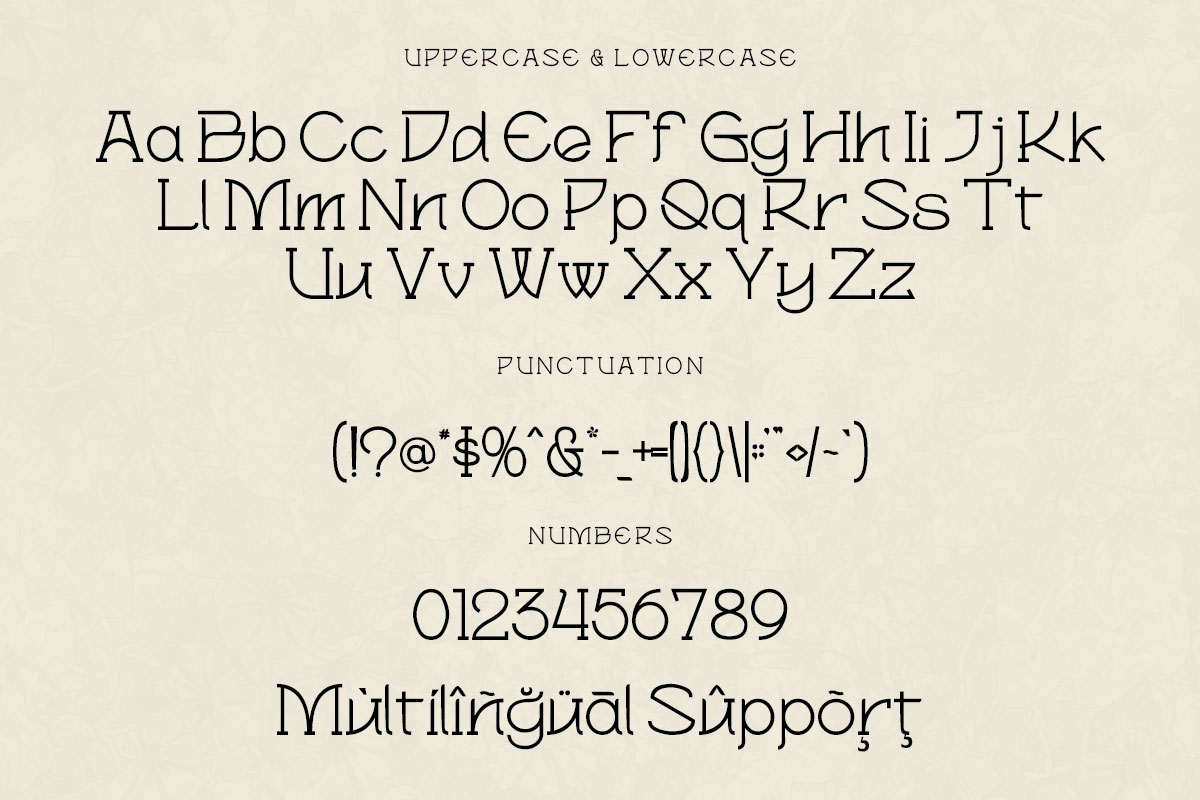 Magnolia Serif Monoline Font - Image 9