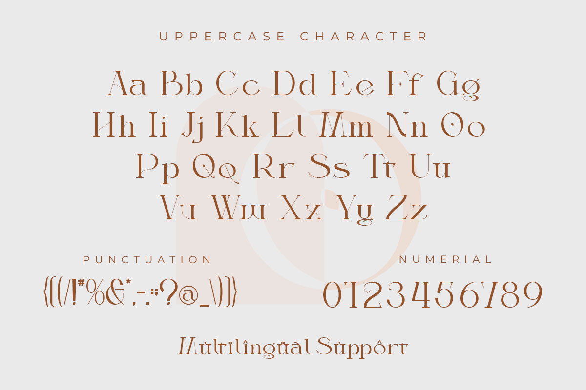 Thanjidor Serif Font - Image 9