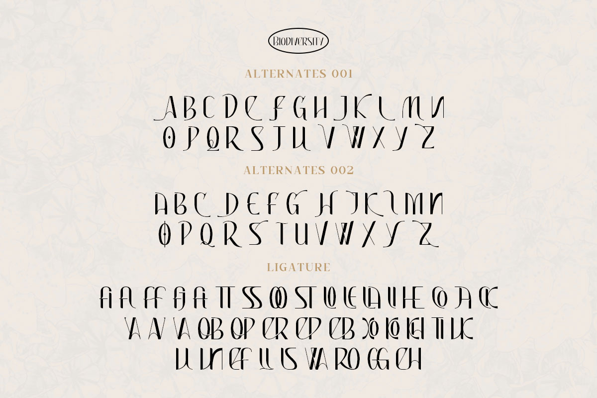 Biodiversity Sans Serif Font - Image 10