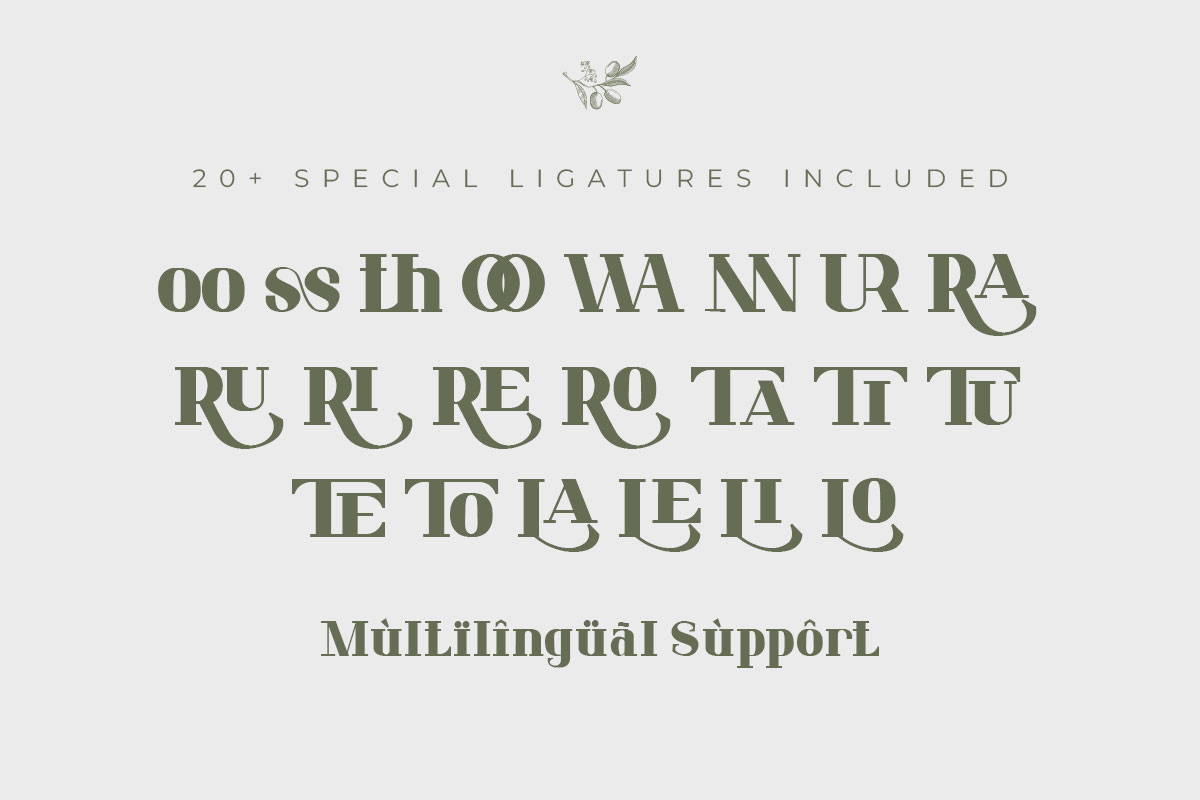 Olivia Classy Serif Font - Image 10