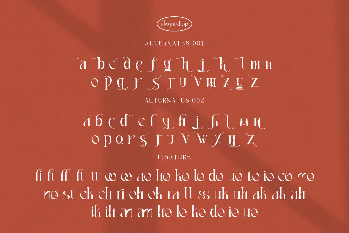 Anguishop Classy Serif Font - Image 10