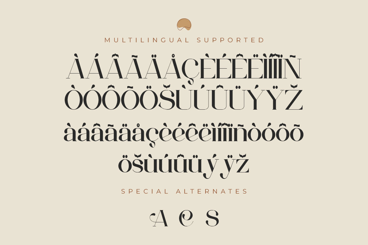Chelsea Elegant Serif Font - Image 10