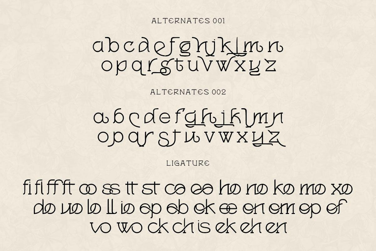 Magnolia Serif Monoline Font - Image 10