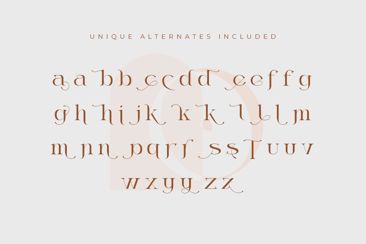 Thanjidor Serif Font - Image 10