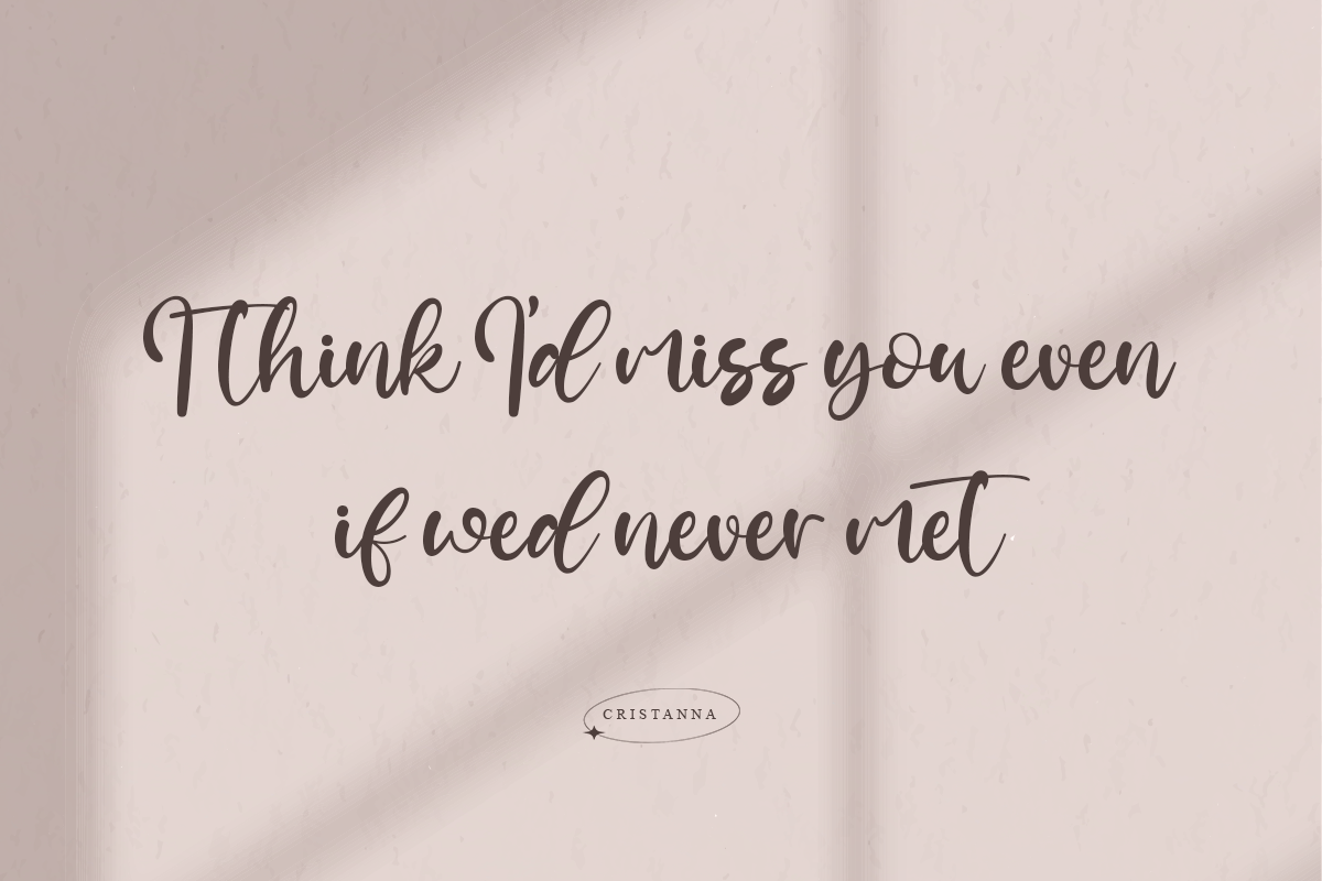 Cristanna Classy Script Font - Image 5