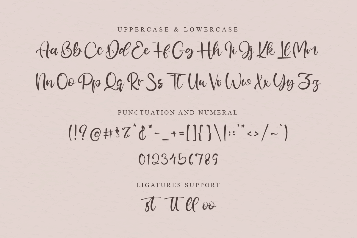 Cristanna Classy Script Font - Image 8