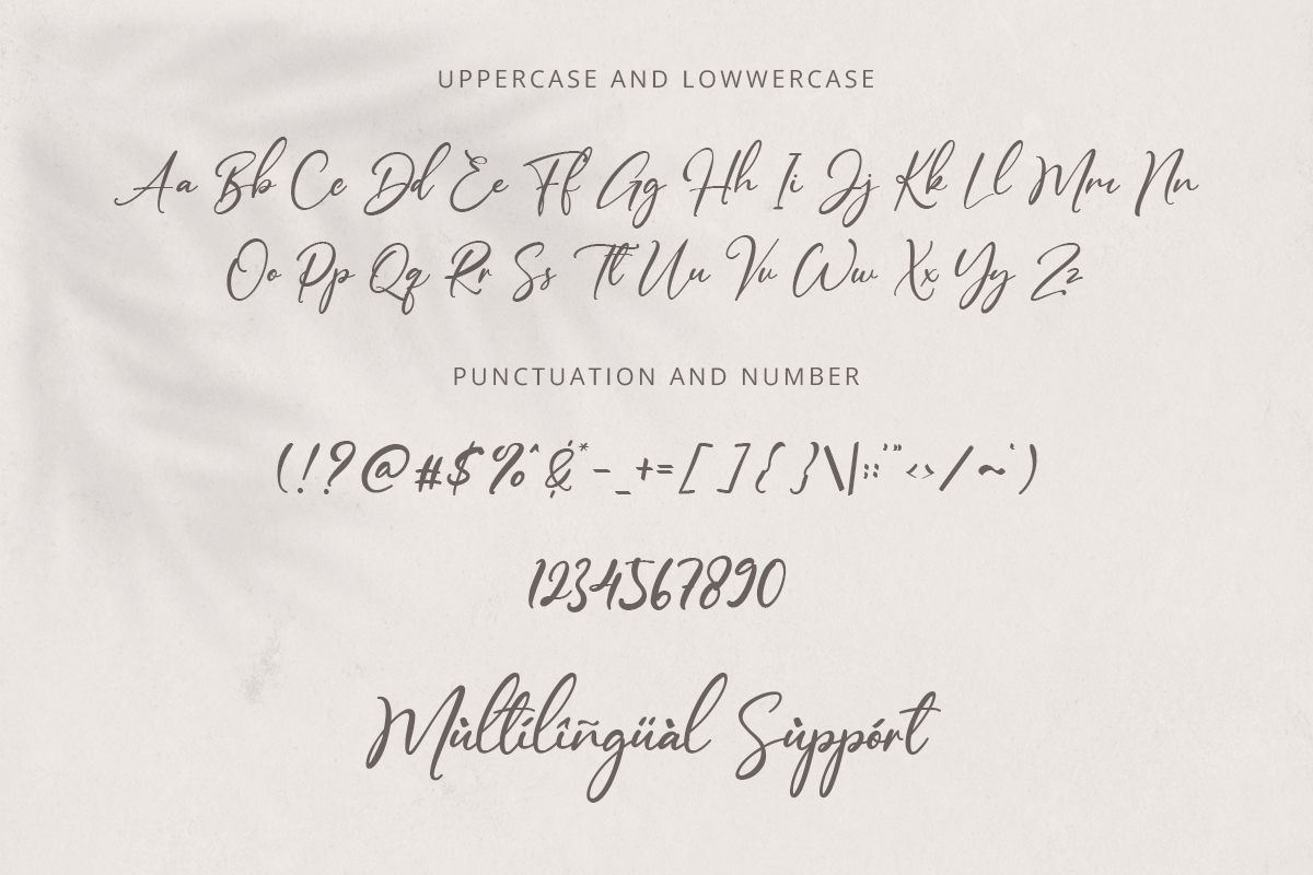 Daviast Classy Handwritten Font - Image 9