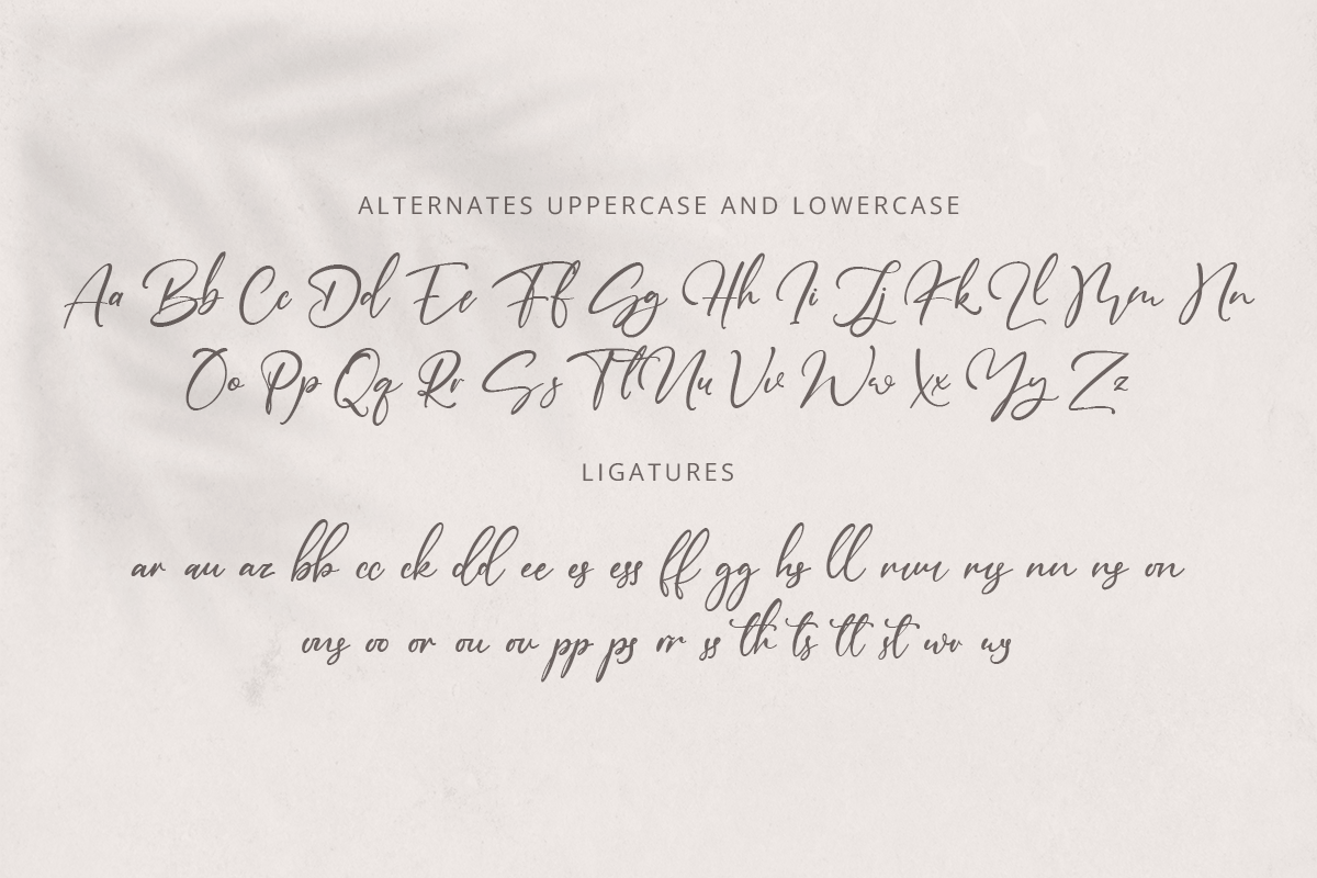 Daviast Classy Handwritten Font - Image 10