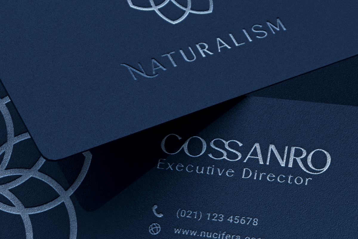 Rocaston Decorative Sans Serif Font - Image 9