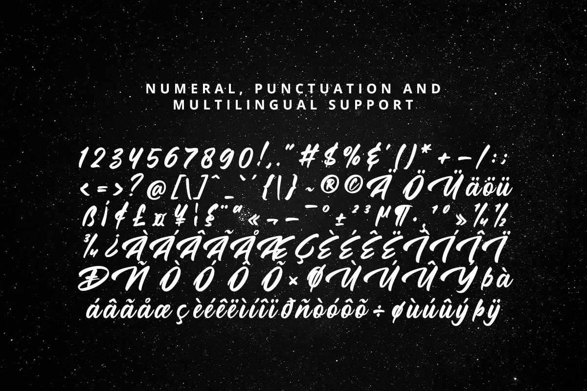 Shellan Classy Handwriting Font - Image 10