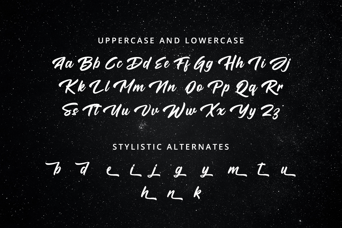 Shellan Classy Handwriting Font - Image 9