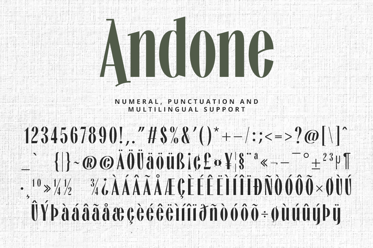 Andone Sans Serif Font - Image 9