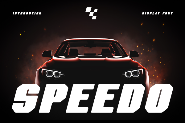 Speedo Display Font - Image 2