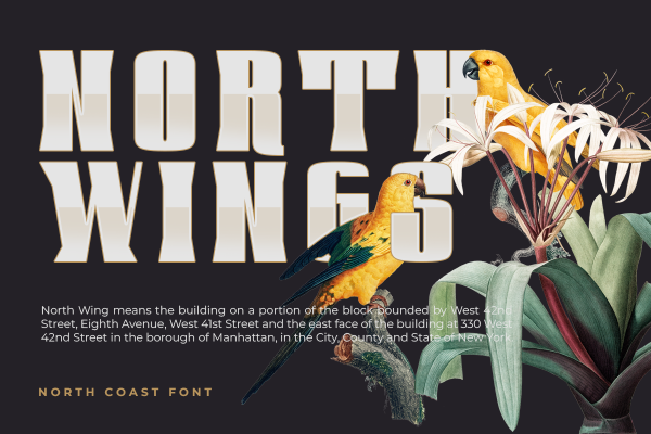 Northcoast Display Font - Image 3