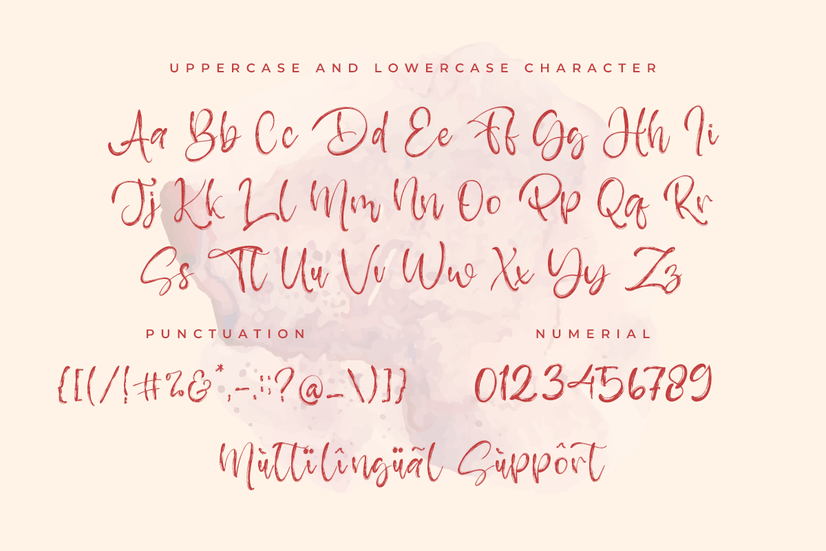 Peatter Script Brush Font - Image 8