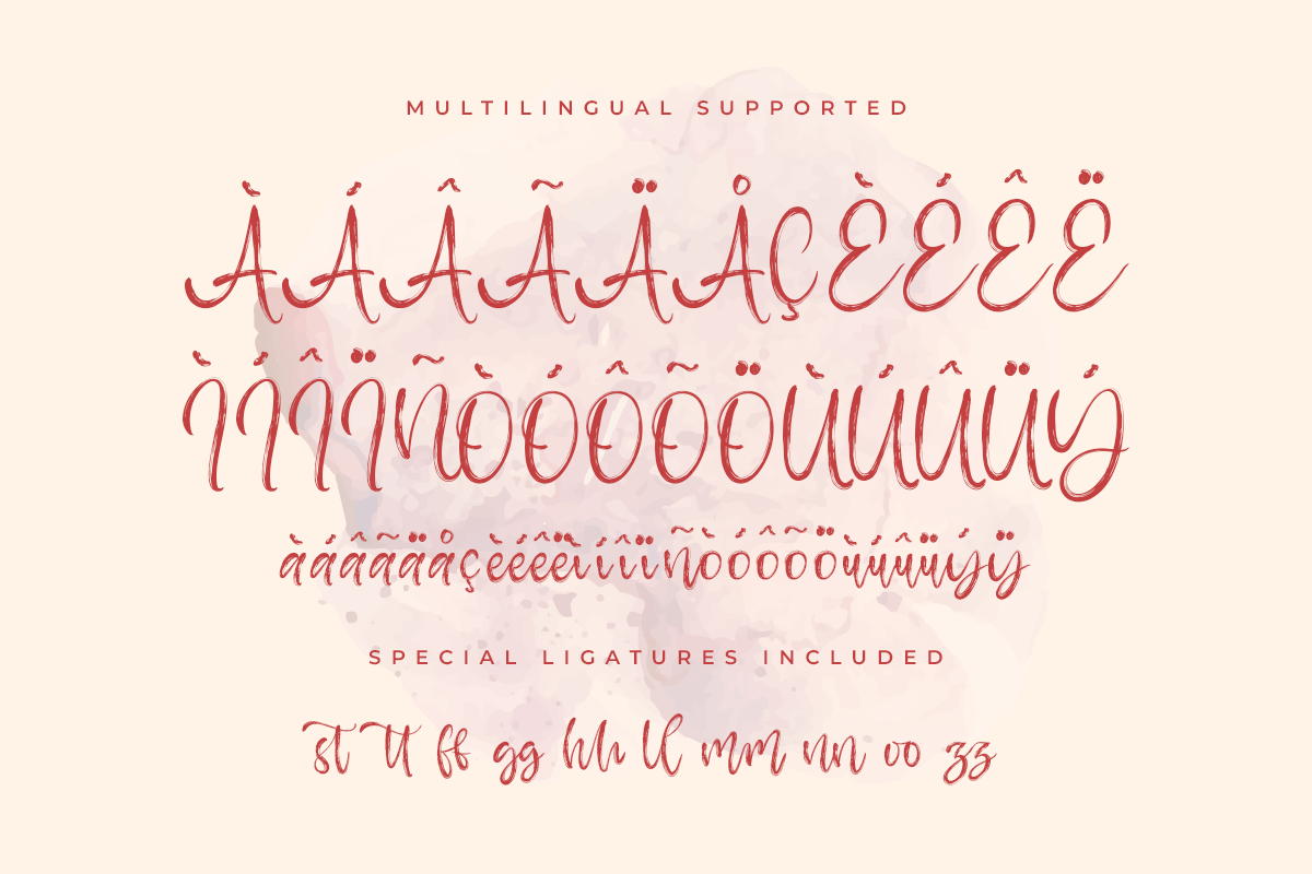 Peatter Script Brush Font - Image 9