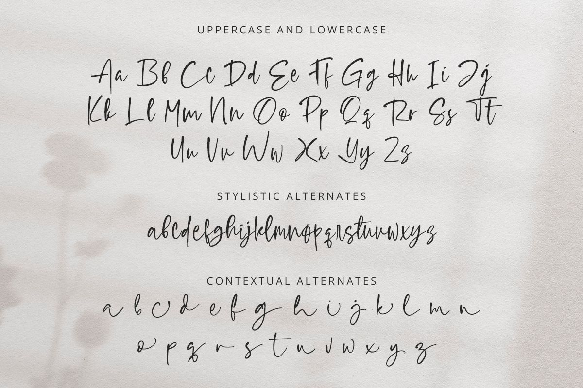 Slabew Classy Handwritten Font - Image 9