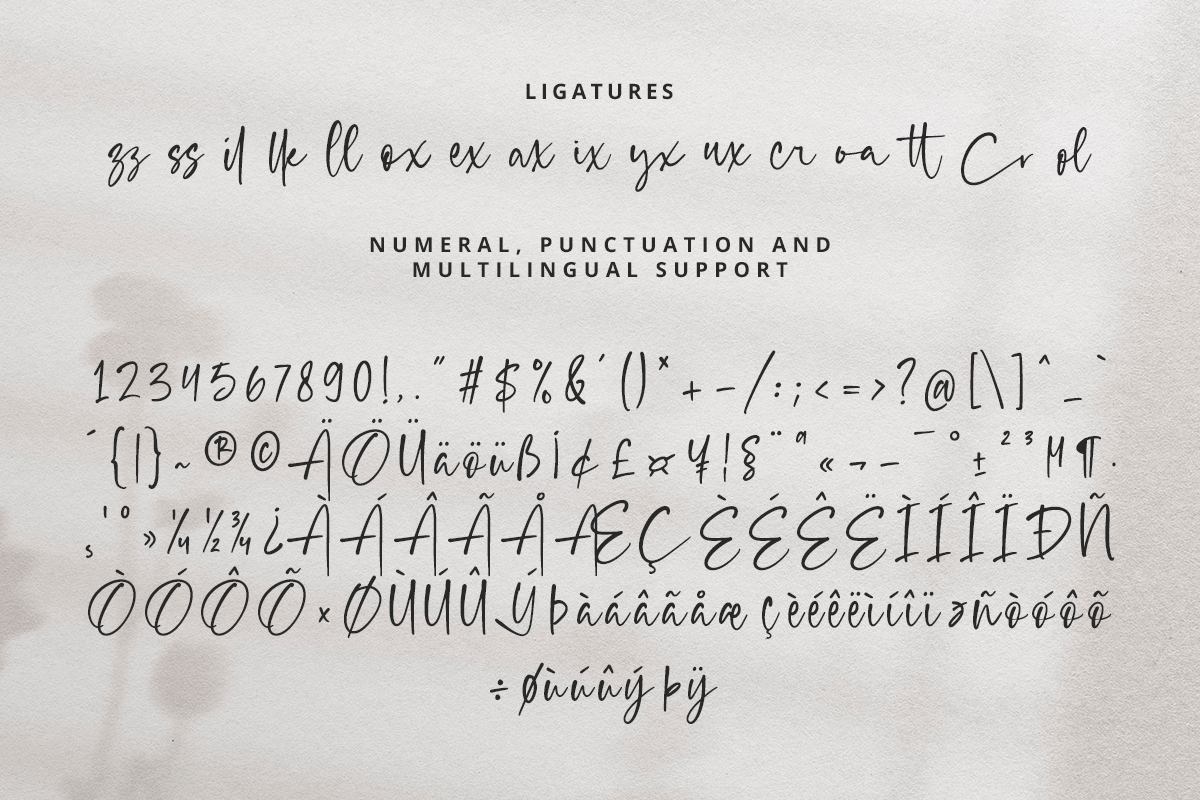 Slabew Classy Handwritten Font - Image 10