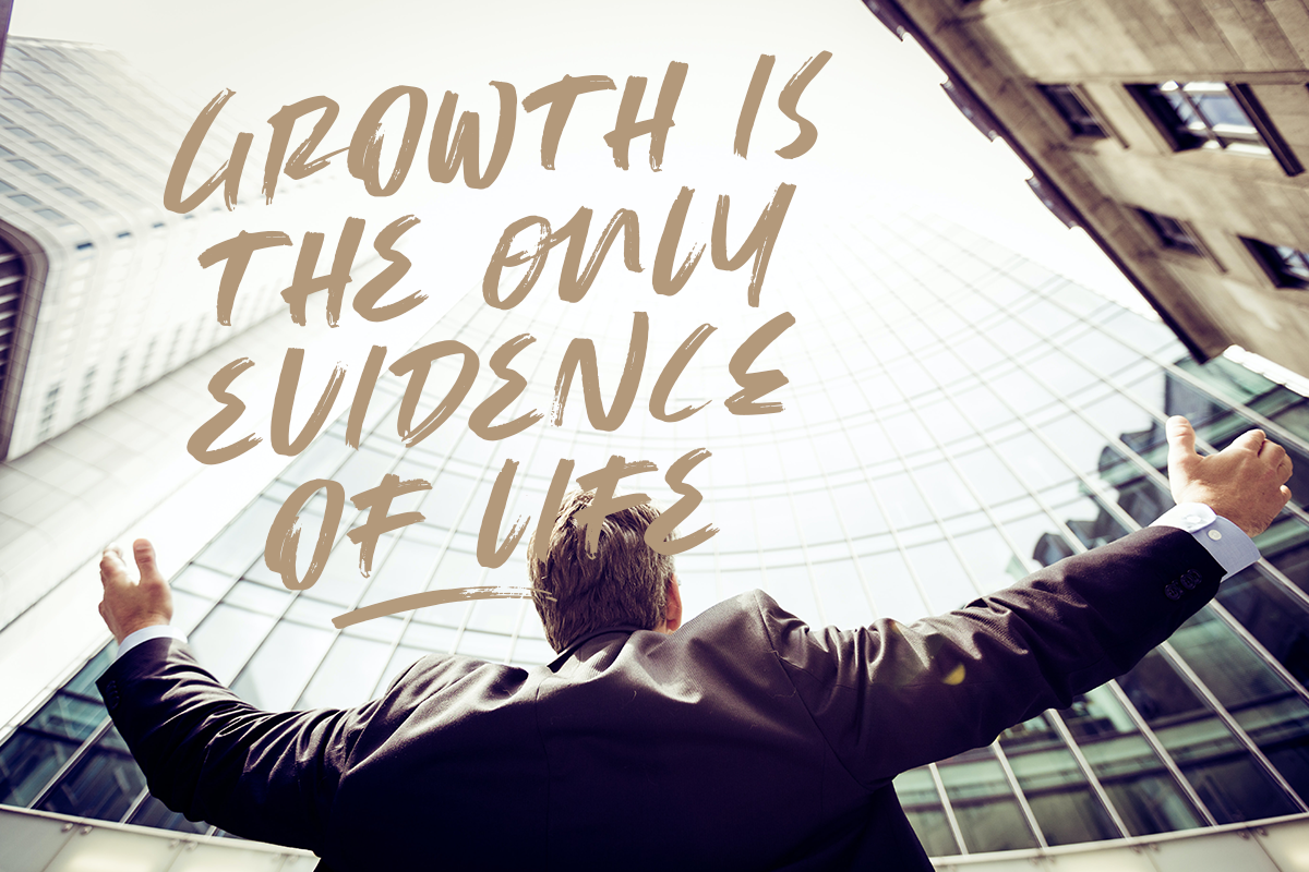 Gilbern Display Brush Font - Image 5