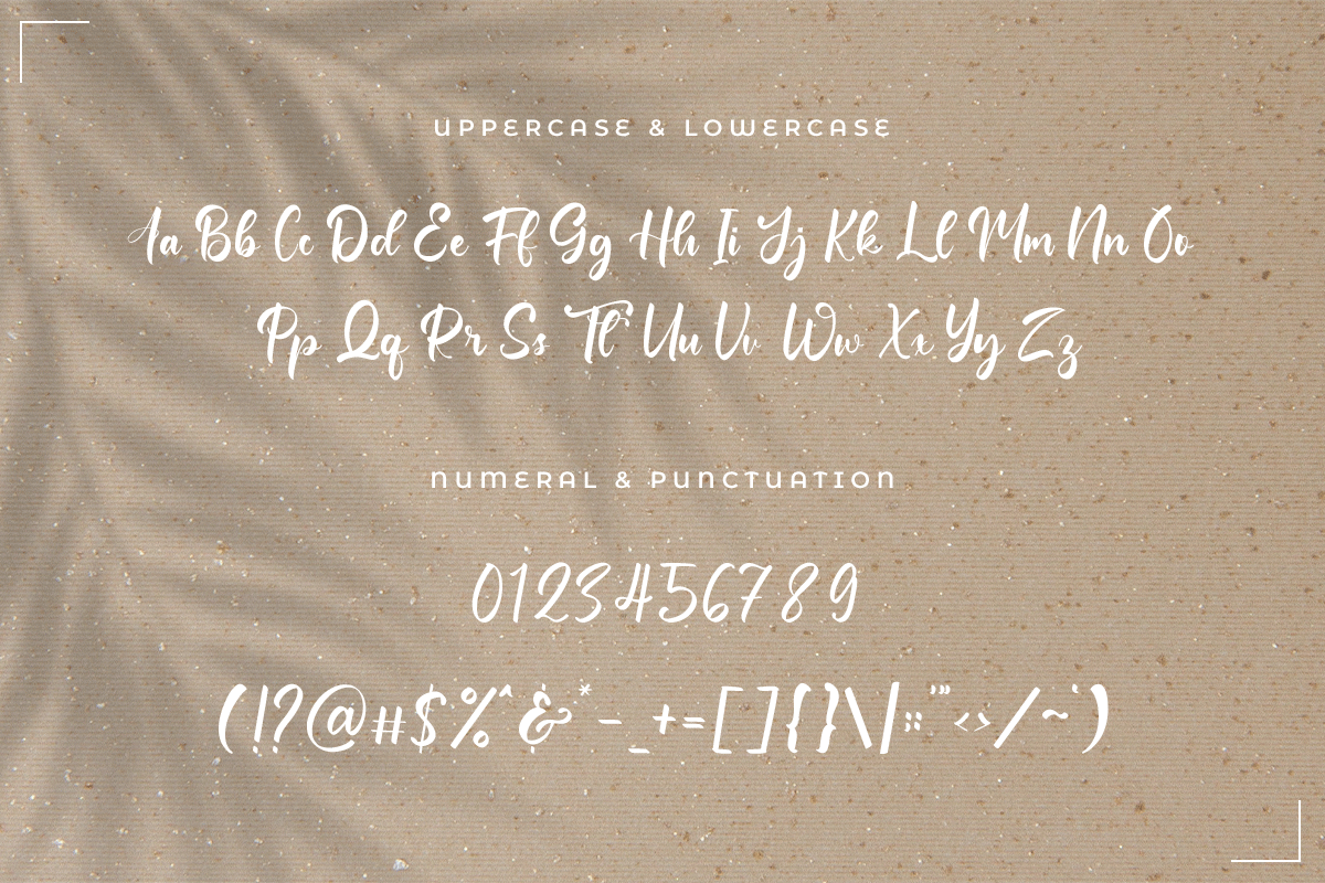 Wealdstone Classy Handwritten Font - Image 6