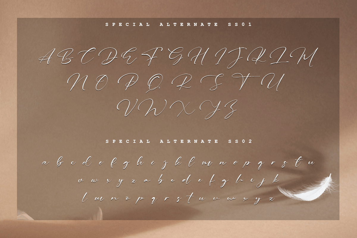 Rachesta Signature Font - Image 6