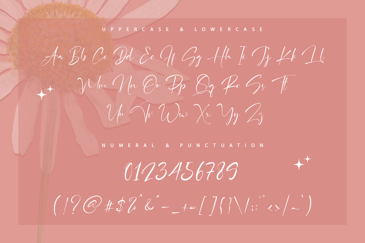 Cristhian Signature Font - Image 6