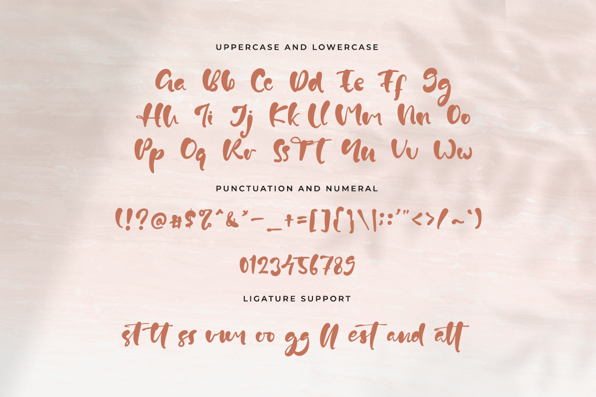 Westnord Classy Handwritten Font - Image 7