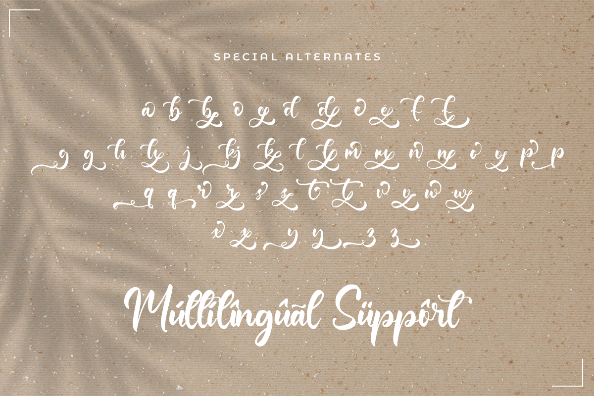 Wealdstone Classy Handwritten Font - Image 7