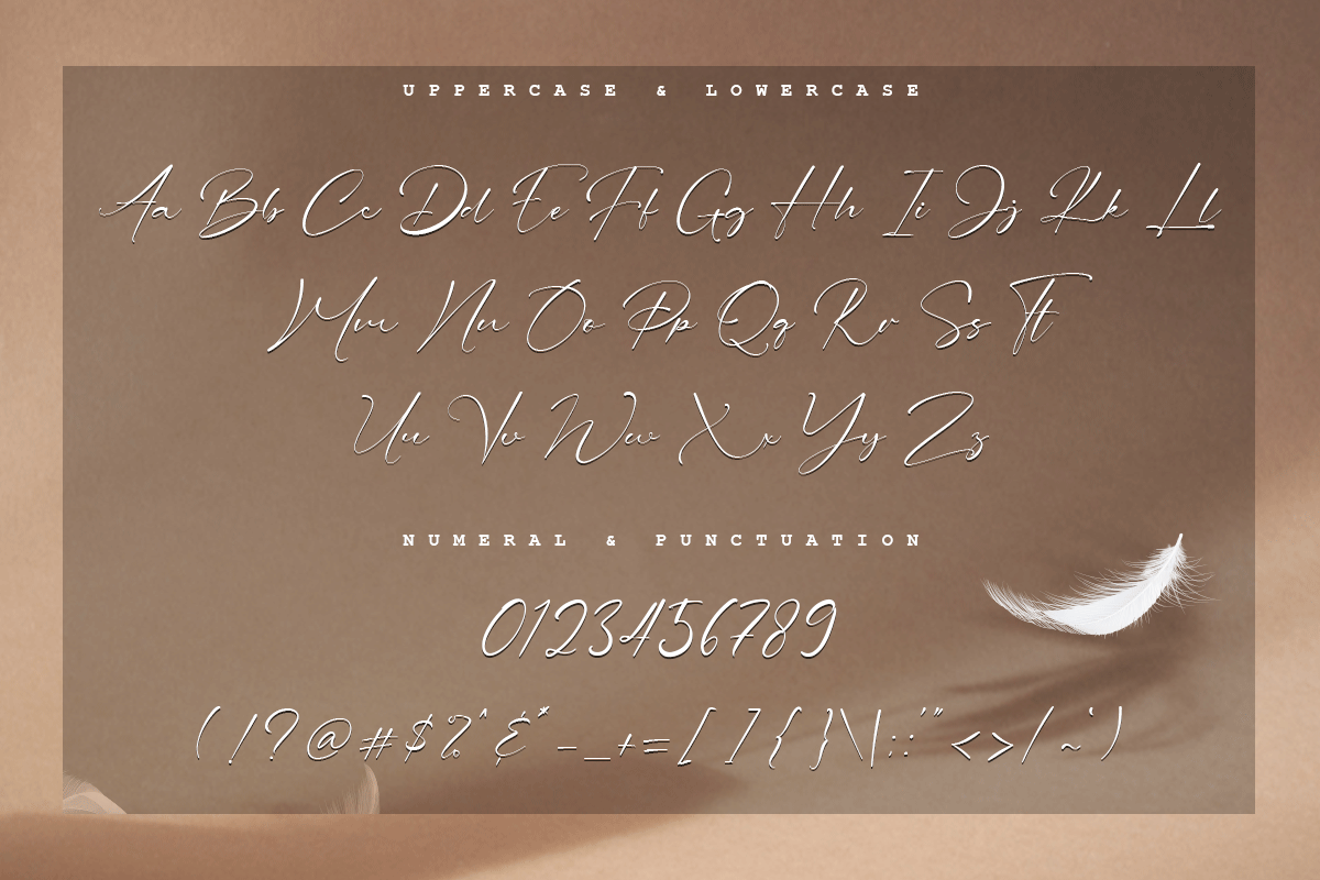 Rachesta Signature Font - Image 7