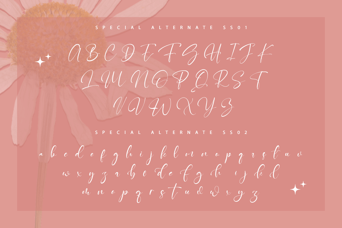 Cristhian Signature Font - Image 7