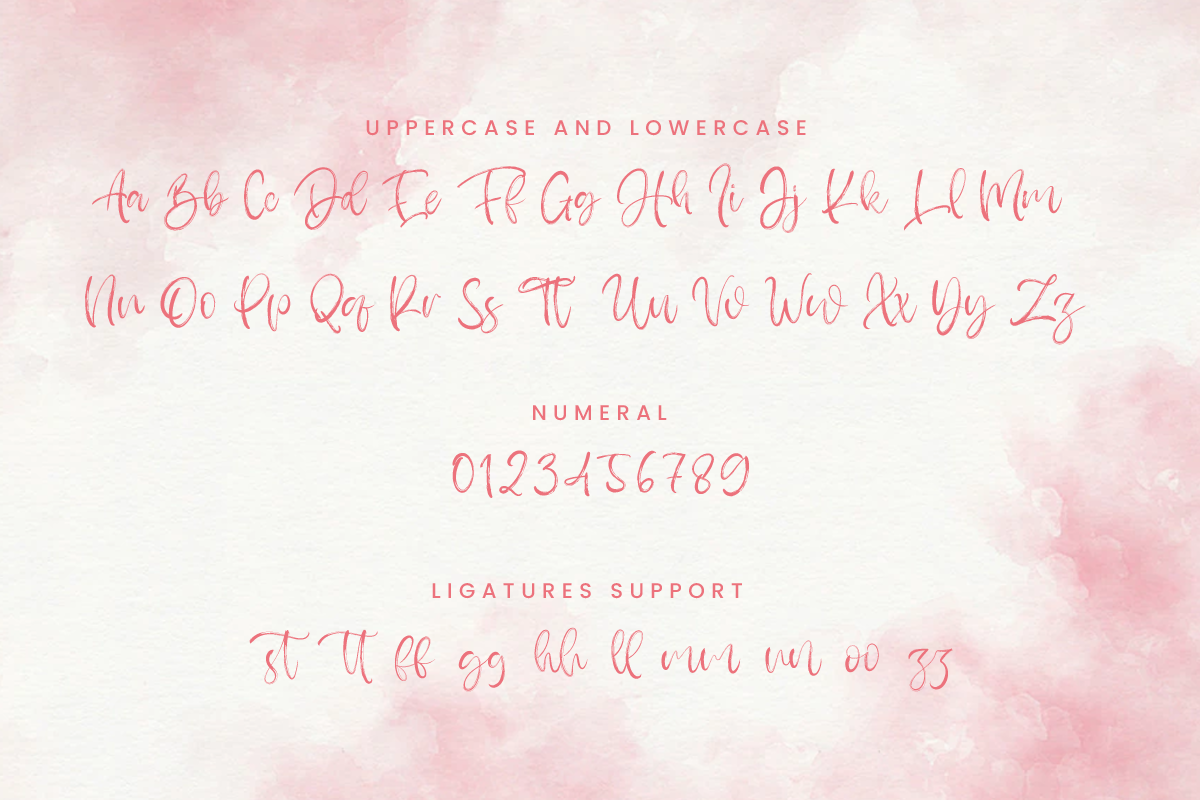 Abrusta Script Brush Font - Image 8