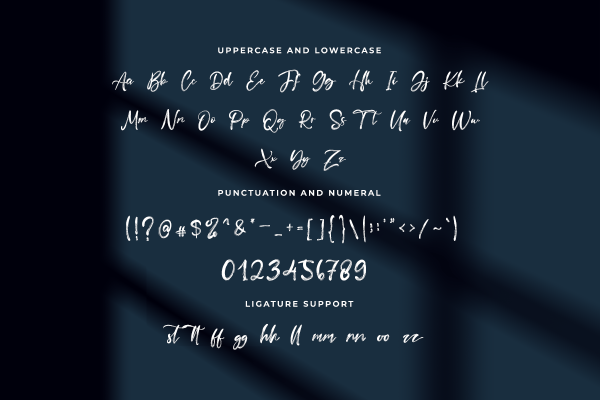 Fanista Handwritten Brush Font - Image 6